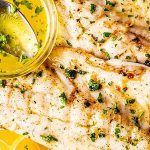 barramundi-dentist-wagga