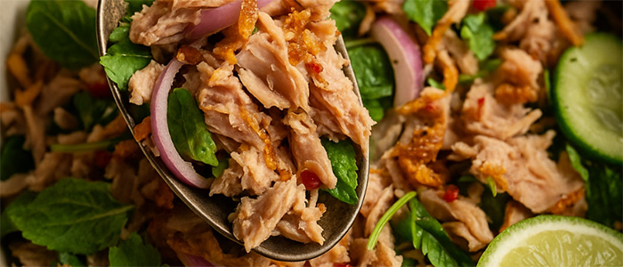 thai-tuna-dentist-wagga